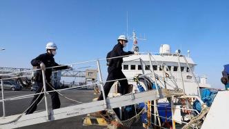 71噸帝王蟹抵滬，上海邊檢機關快速通關助力“新鮮到家”