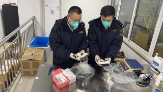在名为“礼物”的入境邮件中，上海海关查获2件北极海鹦标本