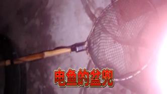 男子禁渔期内趁夜色开船电捕鱼25公斤，被上海崇明警方擒获