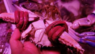 台州一农贸市场所售梭子蟹“一斤蟹二两绳”，被查处