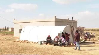 能源短缺问题严重！叙利亚哈马省塞恩村民捡柴烧火险境求生