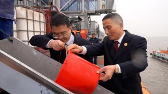 6.5万尾鱼苗在这安家！长江上海段水域开展增殖放流活动