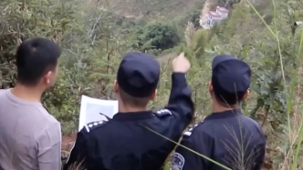 广西警方侦破一起特大滥伐林木案