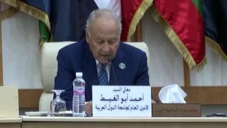 第40届阿拉伯国家内政部长会议举行