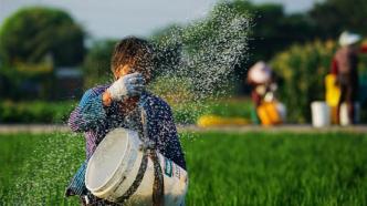 特稿｜粮食安全和环境保护如何双赢？“农业减氮”成本谁来担