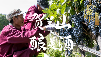 百村安居图（37）：贺兰山下酿美酒