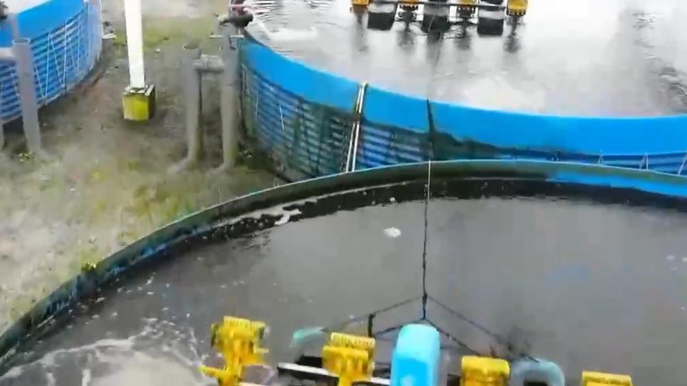 江蘇蘇州：全電農(nóng)場(chǎng)托起魚菜共生新農(nóng)業(yè)