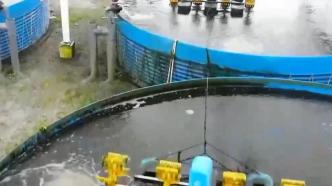 江蘇蘇州：全電農場托起魚菜共生新農業