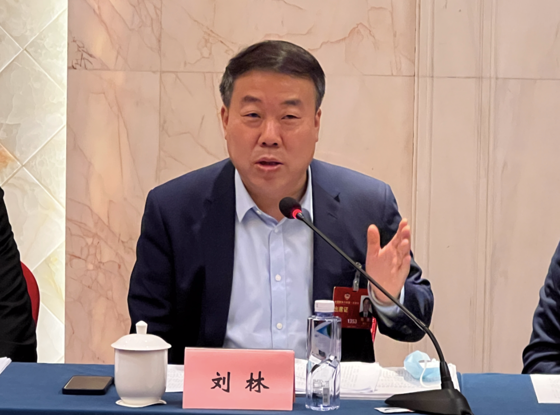 刘林委员建议：设立“数字技能+”百万大学生培训项目促就业_中国政库_澎湃新闻-The Paper