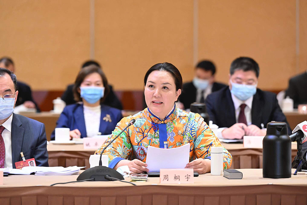 提升數字經濟全球競爭力,周桐宇代表建議鼓勵原創技術的研發投入_中國網