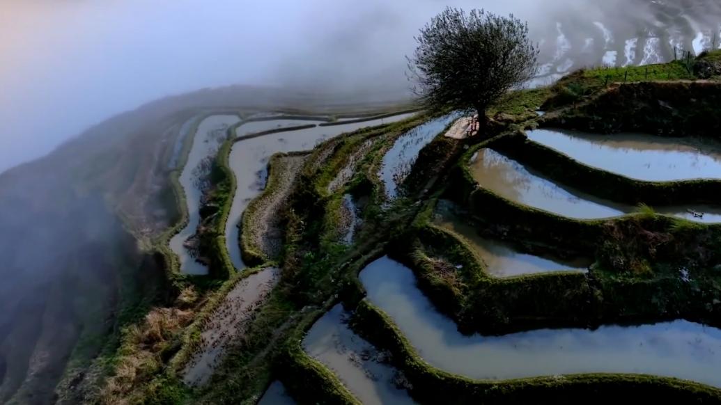 云南元江云海映梯田，光影逐春来