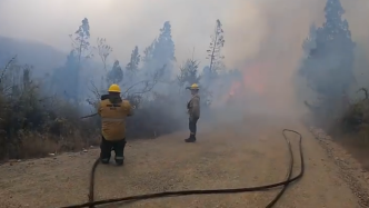 或为人为纵火，阿根廷北部火灾仍处于失控状态