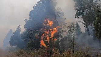 阿根廷北部火灾仍处于失控状态，当地政府开始疏散周边居民