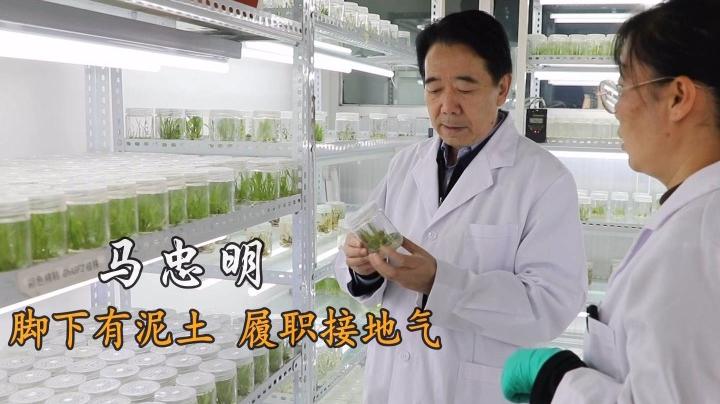 代表委員履職故事|馬忠明:腳下有泥土,履職接地氣