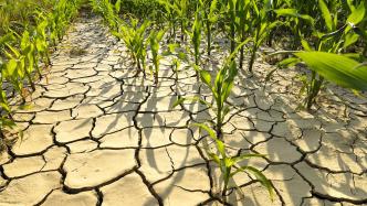 2月份200万人次遭受自然灾害，西南部分地区旱情持续发展