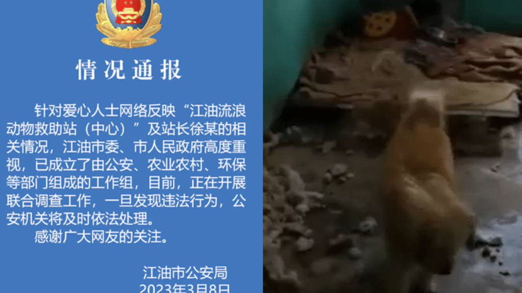 流浪动物救助站被指环境恶劣，江油警方：已成立工作组