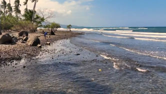 菲律宾发生重大漏油事故，大量珊瑚礁、红树林恐遭污染
