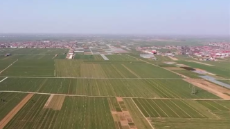 全国625处大中灌区开始春灌，灌溉面积超2100万亩