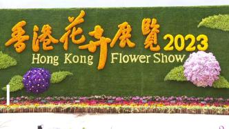 2023年香港花展3月10日起绚丽绽放
