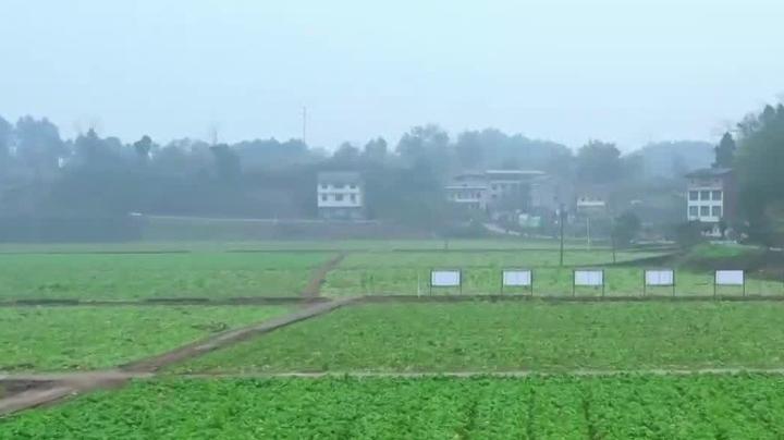 重庆涪陵“田间冰箱”助农户抢占“鲜”机