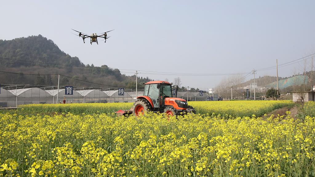 19.14亿亩！全国耕地面积连续第二年止减回增
