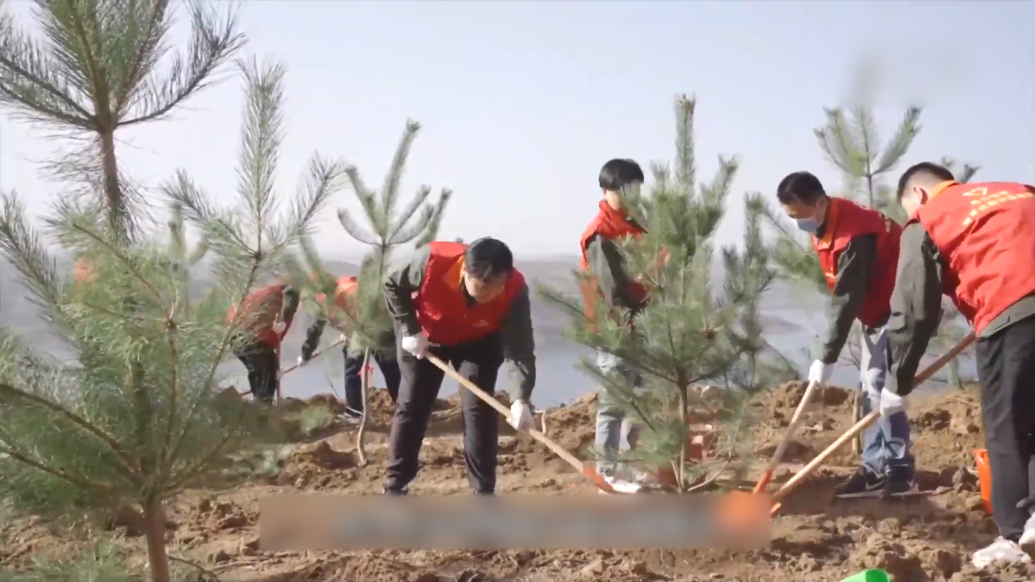 新安黃河生態(tài)廊道開展植樹造林活動