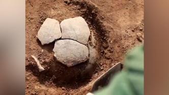 淄博发现一处四千多年前的龙山文化遗址