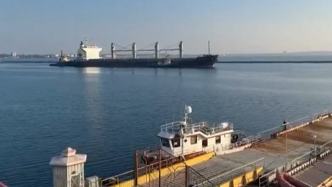 俄罗斯与联合国代表将磋商黑海港口农产品外运协议