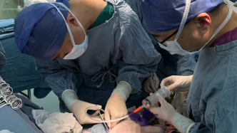 抢救胸腔积液胎儿：剖腹产、不断脐带做手术、气管插管……