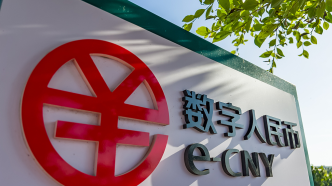 数字人民币（e-CNY）的跨境应用前景