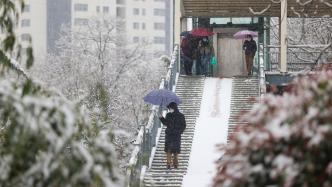 慢直播丨河南三月飄“桃花雪”，洛陽(yáng)、三門峽等地發(fā)布暴雪紅色預(yù)警