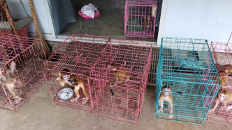 多人买卖人工繁殖猕猴被起诉，南阳中院两次发回重审后检方撤诉