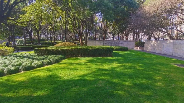 一起邂逅春日阳光，上海徐汇区属公园开放约一万平方米草坪