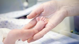 上海去年危重孕产妇、新生儿抢救成功率为99.1%和93%