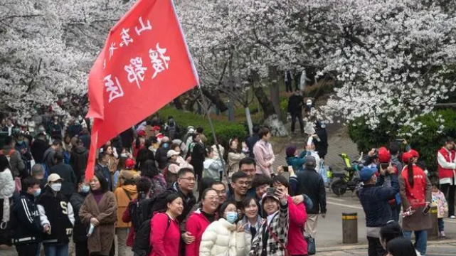 只为你！武汉大学赏樱专场欢迎抗疫医护人员