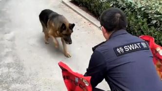 训导员探望被领养的退役警犬