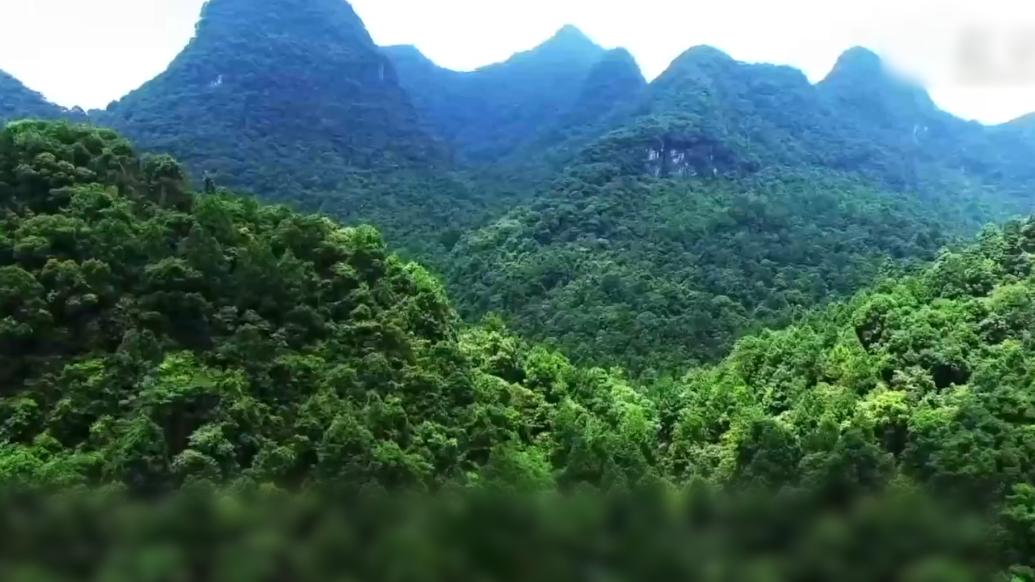 广西木论保护区：石头上的自然遗产地