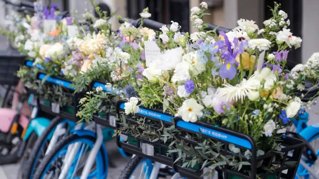 上海街头共享单车装满鲜花，把春天“种”进车篮