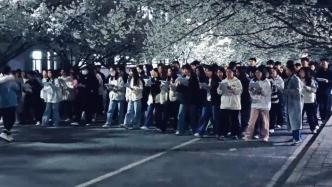 大学生在校园内的樱花大道上合唱