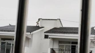 邻居发现几名儿童在楼顶玩耍：拍视频发到社区群后将他们吼下