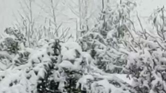 河南多地飘下桃花雪，洛阳、三门峡等地发布暴雪预警
