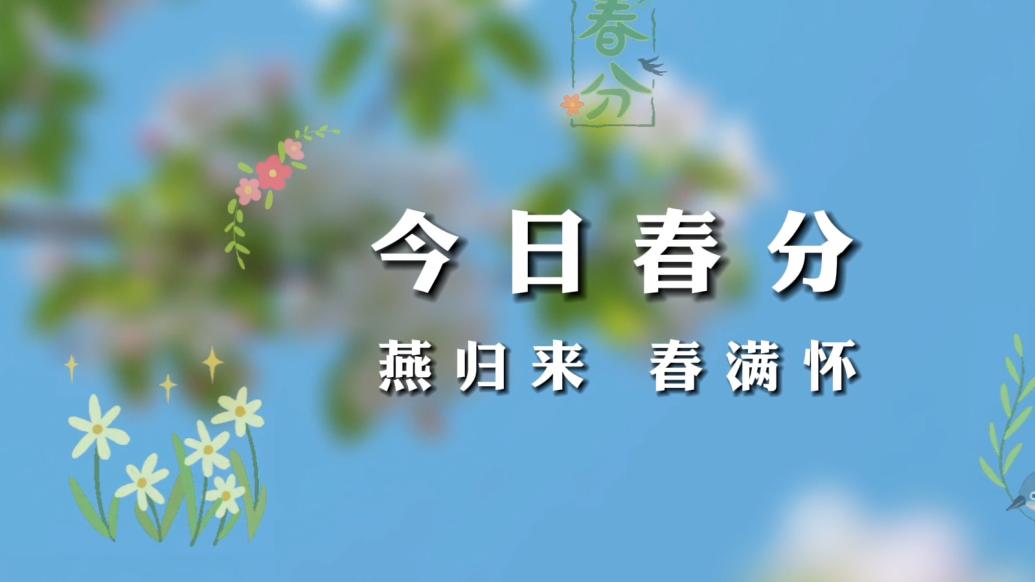 今日春分：燕归来，春满怀！