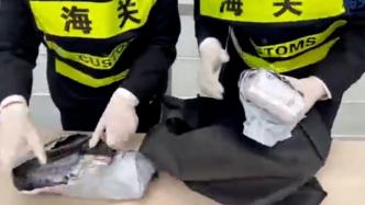 深圳海关查获一旅客违规携带101管孕妇血液样本出境