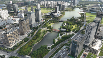 上海五个新城绿环正式启动建设，年内将完成50公里水脉贯通
