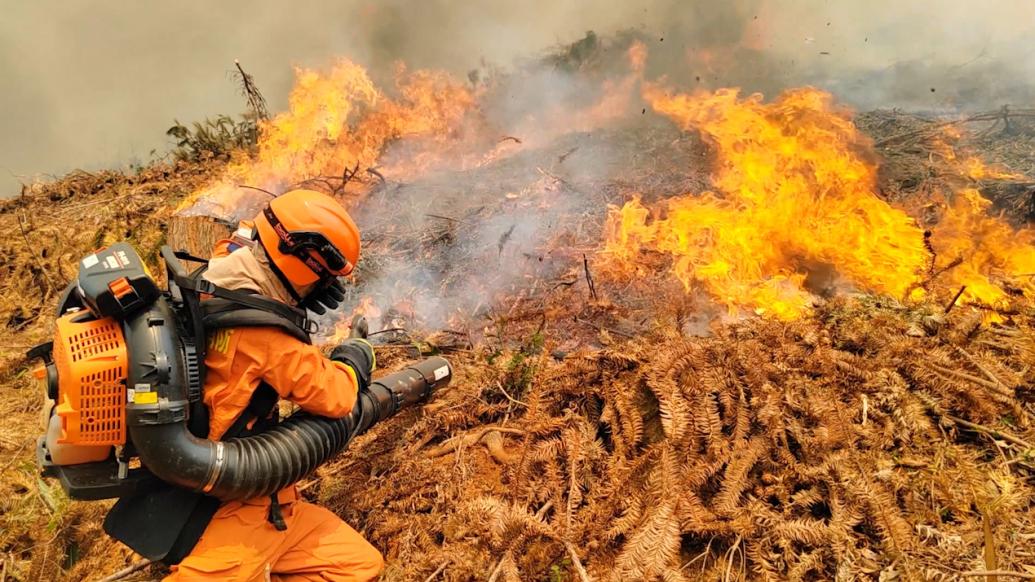 防范于未“燃”，森林消防实战演练扑灭大火
