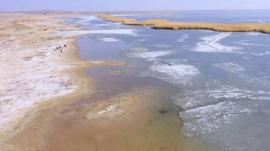 內(nèi)蒙古額濟(jì)納：春意融融候鳥(niǎo)歸來(lái)