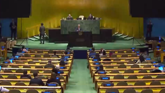 联合国大会举行会议纪念消除种族歧视国际日