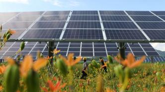 农村能源革命正当时，四部门发文：以可再生能源产业带动农民增收