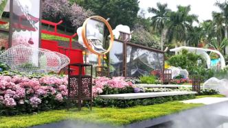 以绣球为主题花卉，2023年广州园博会盛大开幕