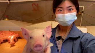 00后女大学生回应毕业当养猪场保育员：大学学的畜牧兽医